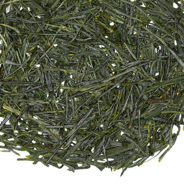 Loose leaf Sencha Nightingale Japanese green tea