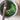 Top down view of matcha in a matcha tin