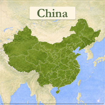 Chinese Oolong Tea